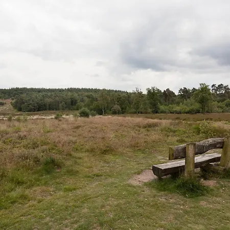 Chalet Spar Hoenderloo