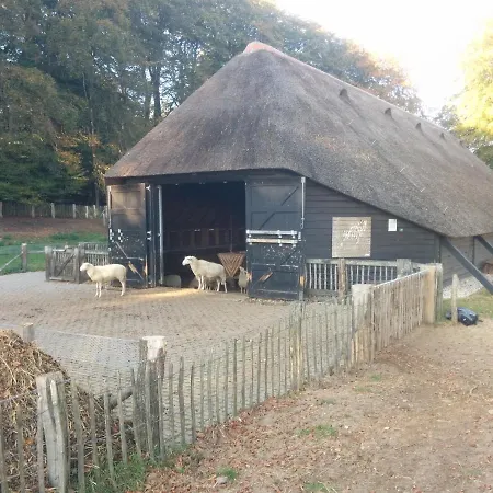 Spar Hoenderloo