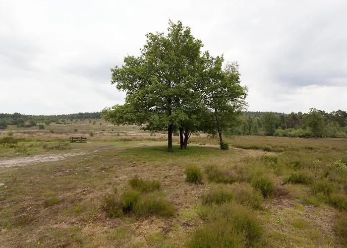 Spar Domek alpejski *
